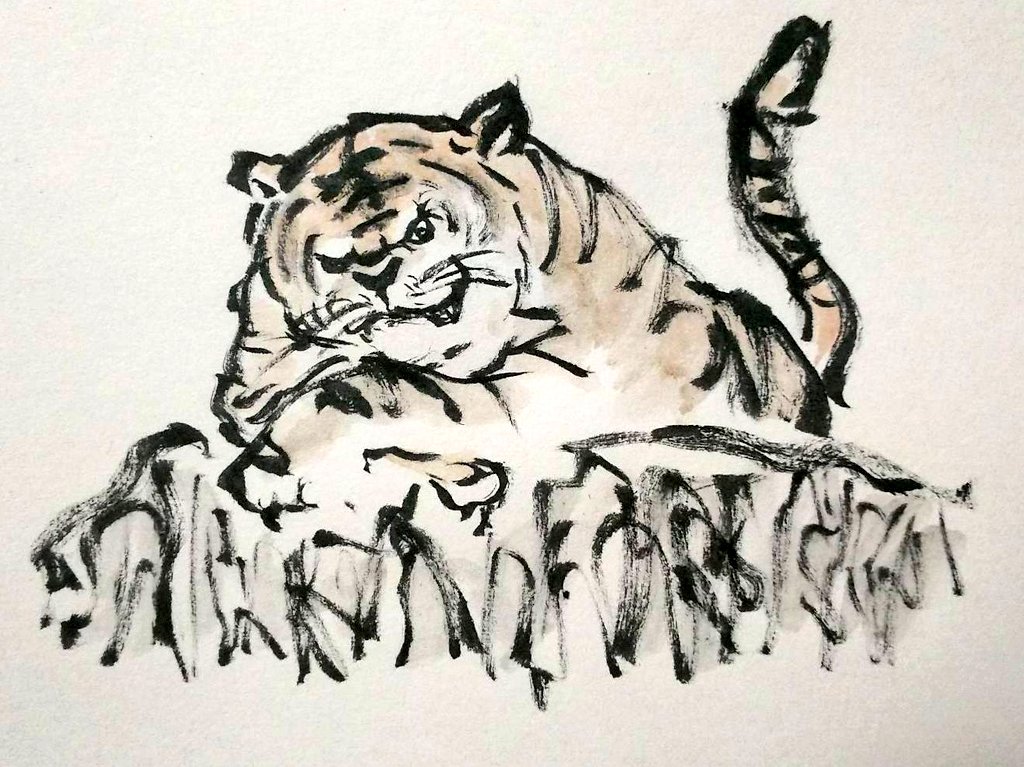 no humans tiger animal focus white background lying animal tail  illustration images