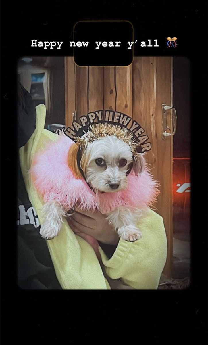 Demi via Instagram story (ddlovato)