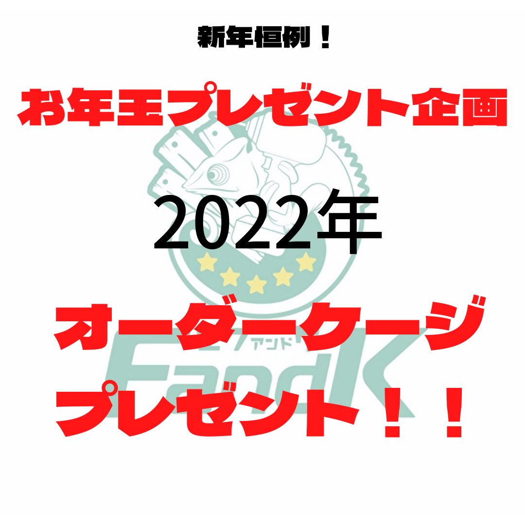 FandK 爬虫類木製ケージ tweet media