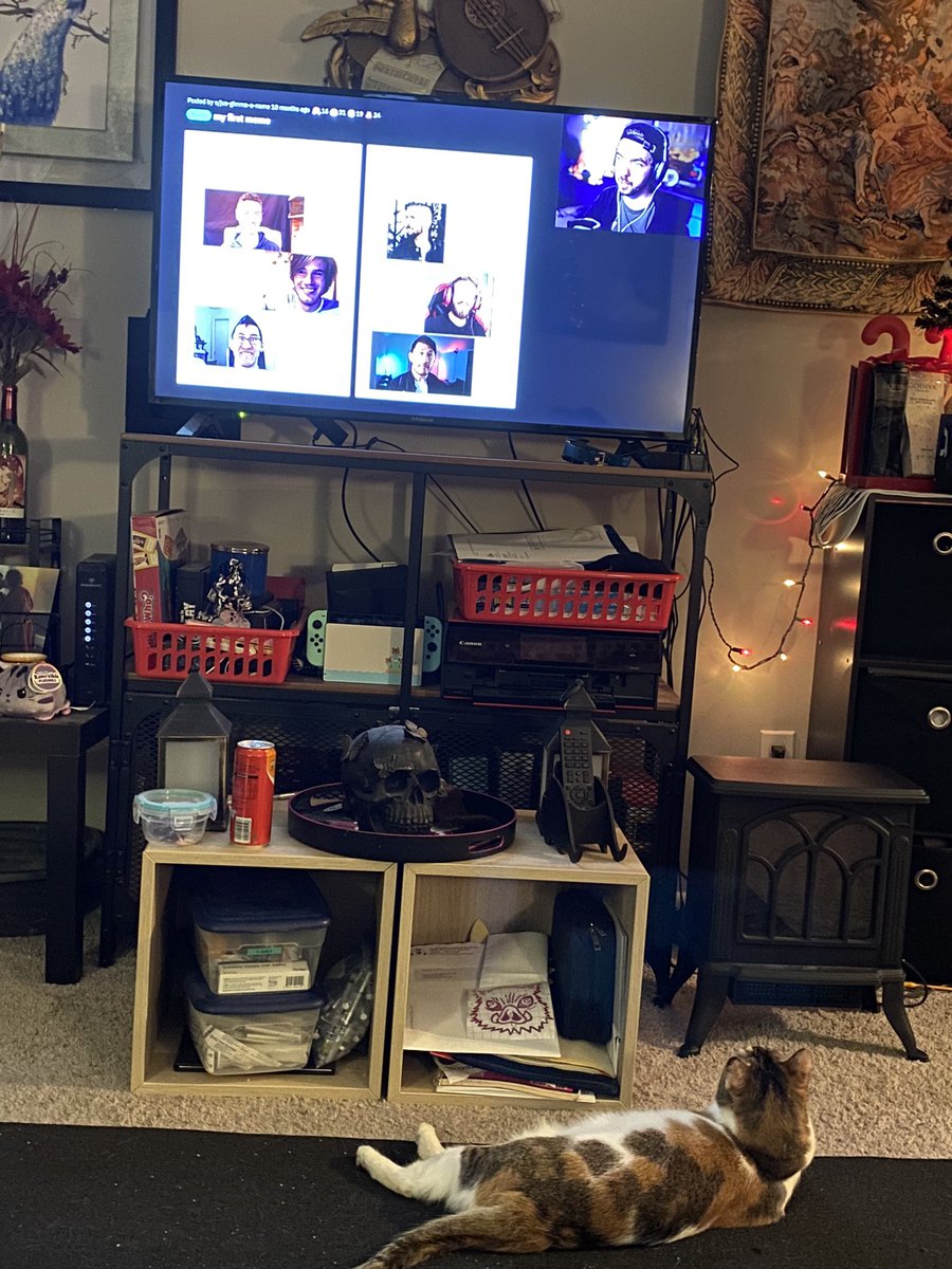 RavenPuffInc's tweet photo. @Jacksepticeye  she is your littlest fan!! She’s always sat and watched every time we watch #Jacksepticeye #youtube #CatsOfTwitter https://t.co/TCpnABrHzy