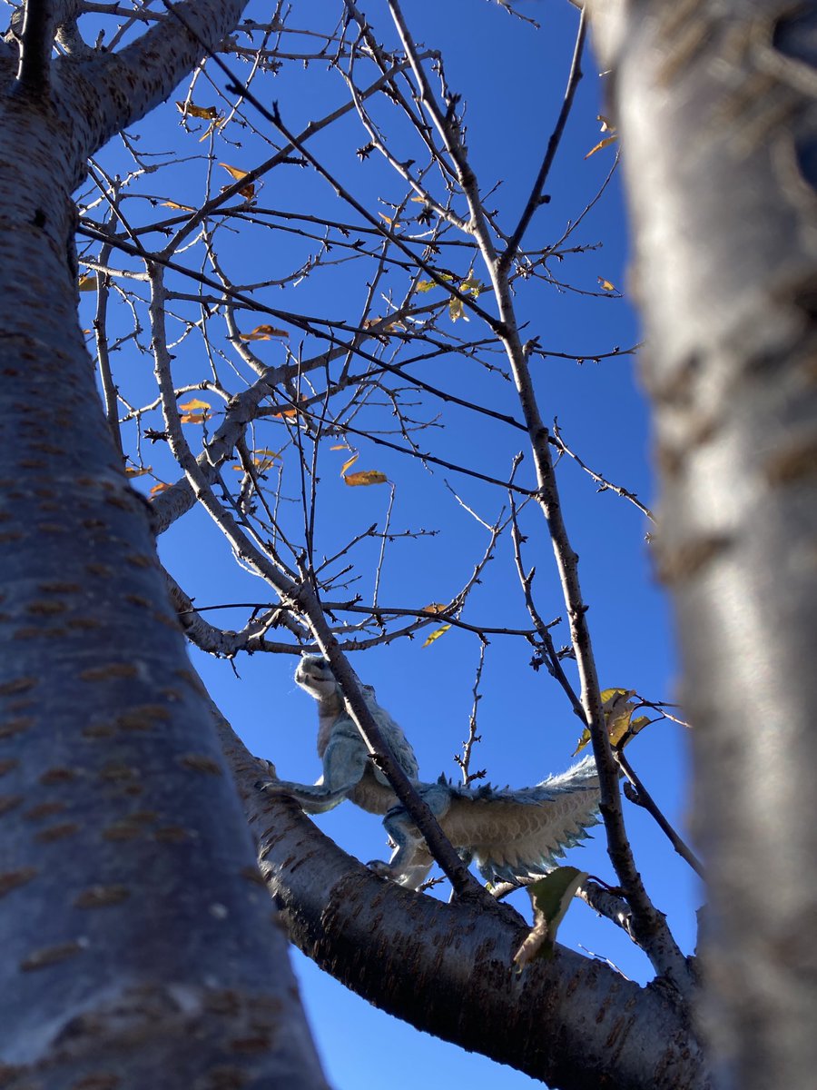 人造タケノコ tweet media