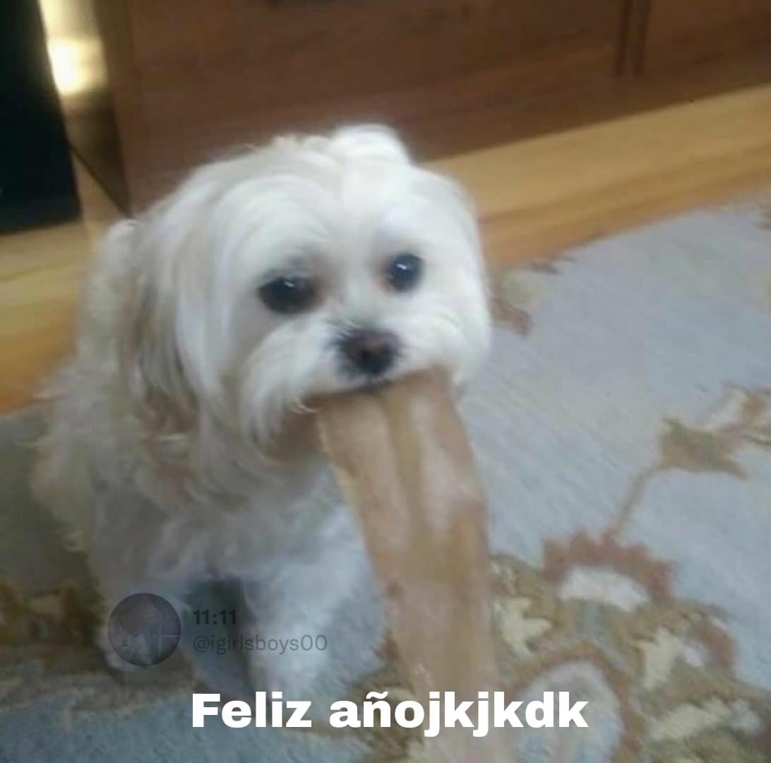 Guarromantico_'s tweet photo. *Mi mamá: Compórtate y no tomes mucho*

-Yo el 01 de Enero: https://t.co/teZkMsExyP
