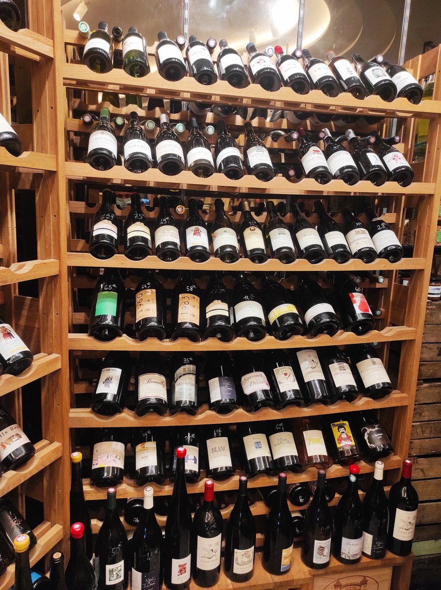 DivingRobin's tweet image. 