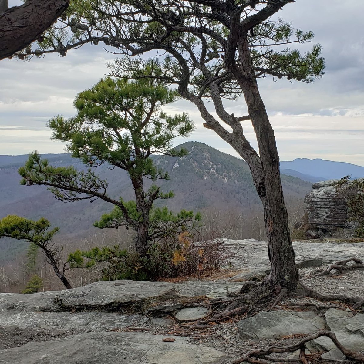 MichaelMareagle's tweet photo. Extremely grateful to be able to end 2021 in these beautiful mountains and to usher in the new year in such a wonderful awesome way, Outside up high looking across the sky and feeling awestruck.
#hiking
#hikemoreworryless
#optoutside
#mountains @pisgahforest #Fun2BFit #nature https://t.co/insbI5LJ9w