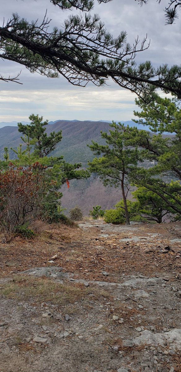 MichaelMareagle's tweet photo. Extremely grateful to be able to end 2021 in these beautiful mountains and to usher in the new year in such a wonderful awesome way, Outside up high looking across the sky and feeling awestruck.
#hiking
#hikemoreworryless
#optoutside
#mountains @pisgahforest #Fun2BFit #nature https://t.co/insbI5LJ9w