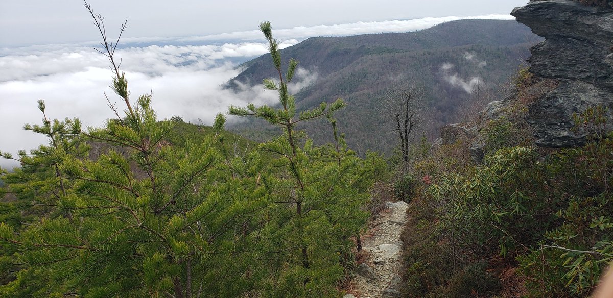 MichaelMareagle's tweet photo. Extremely grateful to be able to end 2021 in these beautiful mountains and to usher in the new year in such a wonderful awesome way, Outside up high looking across the sky and feeling awestruck.
#hiking
#hikemoreworryless
#optoutside
#mountains @pisgahforest #Fun2BFit #nature https://t.co/insbI5LJ9w