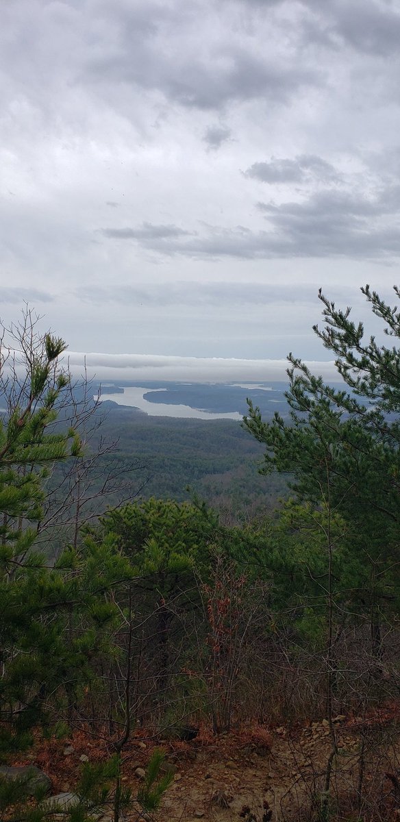 Extremely grateful to be able to end 2021 in these beautiful mountains and to usher in the new year in such a wonderful awesome way, Outside up high looking across the sky and feeling awestruck.

#hiking
#hikemoreworryless
#optoutside
#mountains <a href="/pisgahforest/">Pisgah Forest, NC</a> #Fun2BFit #nature