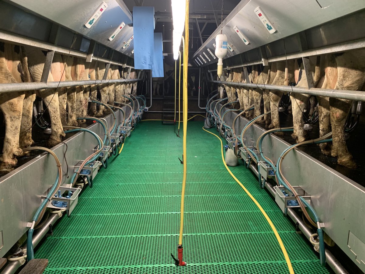 HenkBrinkDr's tweet photo. En voor alles is er ook weer een eerste keer in 2022. Iedereen een heel goed maar vooral gezond 2022 toegewenst. https://t.co/2LxLhNfWBa