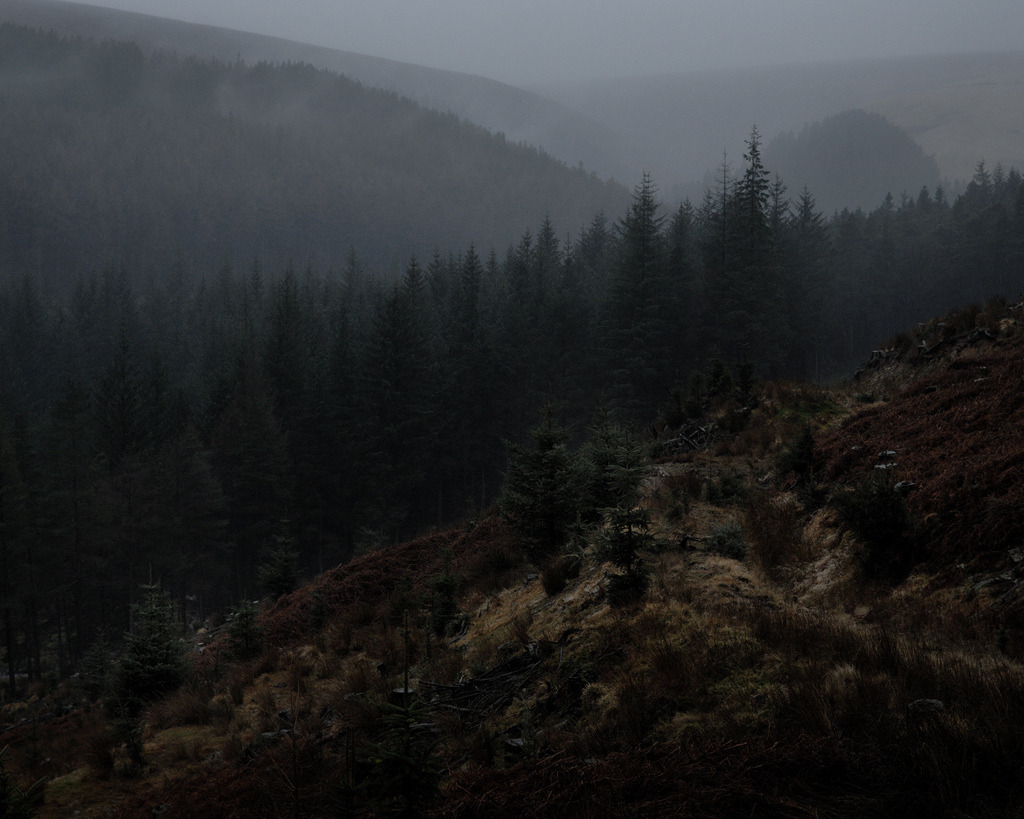 archillect's tweet image. 