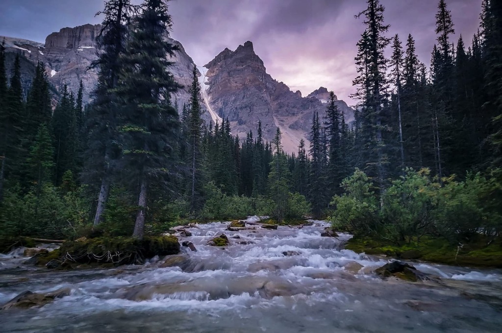 izzihome's tweet photo. The glacial River that feeds into Moraine Lake in Banff National Park
#morrainelake #banff #banffnationalpark #glacialriver #river #water #mountains #sunset #trees #forest https://t.co/rdQmeBYjS9 https://t.co/umSFjy22dx