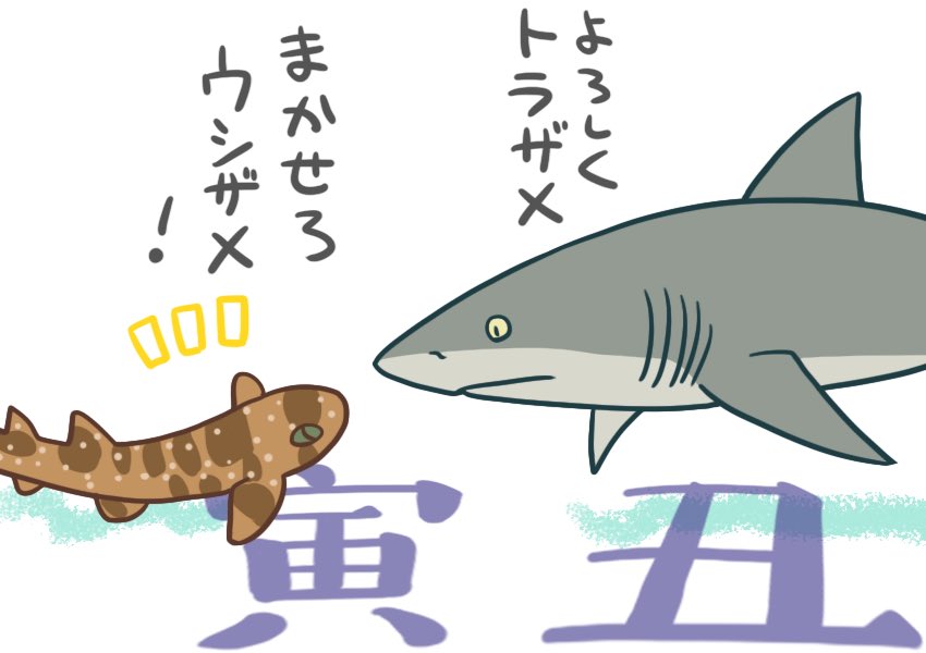 イヌザメさんとネコザメさん #サメ #shark 572 あけおめ