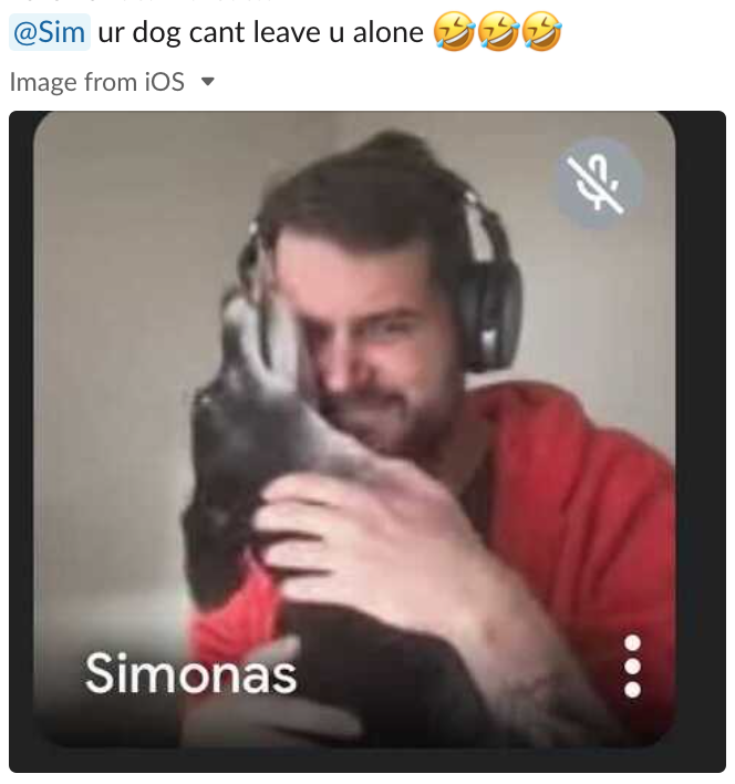 wearemightyai's tweet photo. We're always looking out for @svitkunas' Druska being an overly attached doggo in our weekly Studio Syncs! 😝 How has #WFH been like with your pets? Personally, we're always excited about seeing our colleagues' furry kids appearing on screen!🎖
#peturday #dogparent #pettherapy https://t.co/N9SnN8zp0M