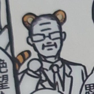 寅年だから虎です。 