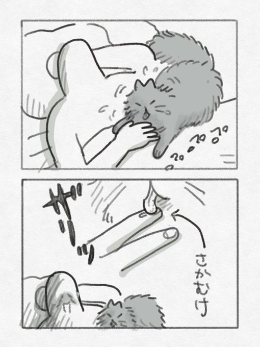 痛み 