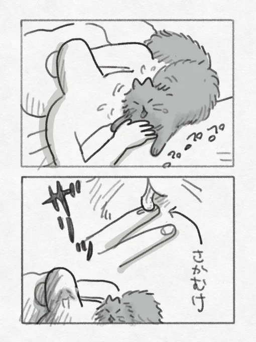 痛み 