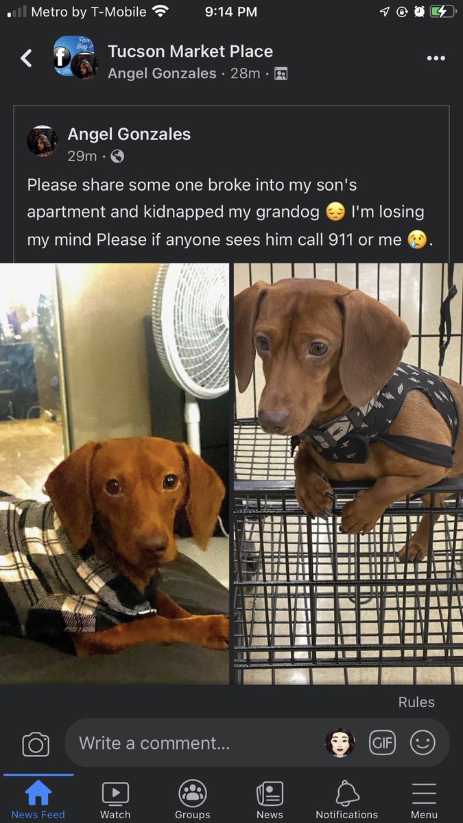 cece2769's tweet photo. @whatsuptucson https://t.co/W0xYCiak8t