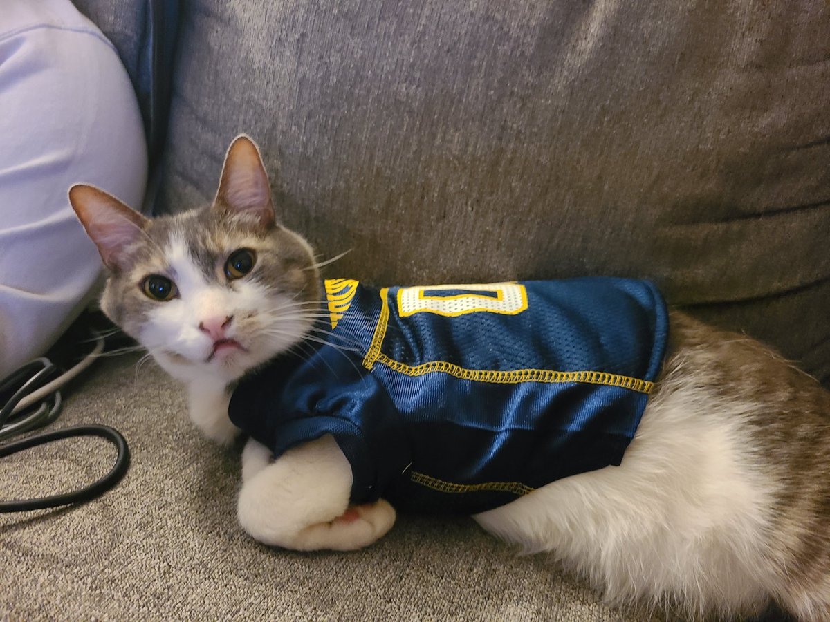 If #Michigan had put me in the game tonight we would've beaten the Georgia... Go Blue anyway