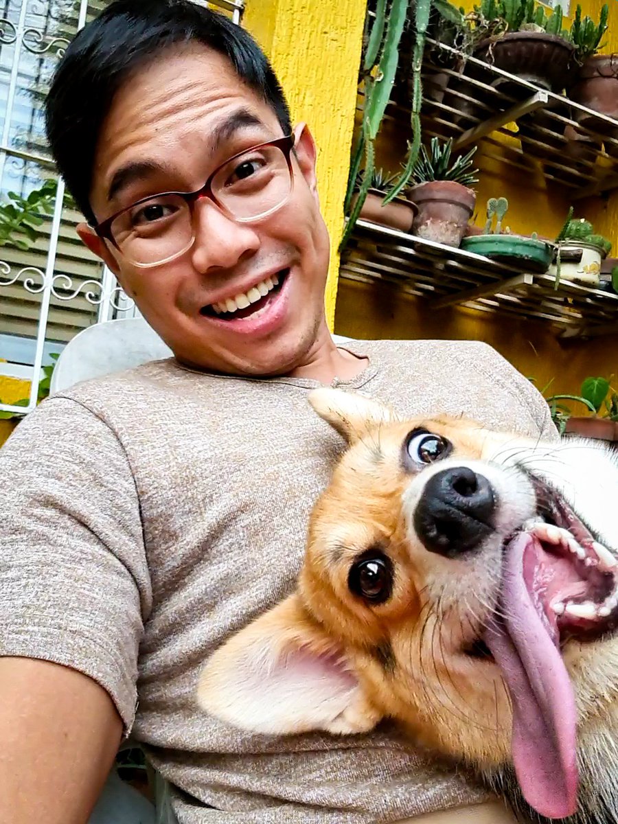 SouthPacCorgis's tweet photo. Happy New Year, hoomans! Especially to our #CorgiDaddy @AlbertDomingo. ♥️

#PeachesAndCream 🍑🍦
#SouthPacificCorgis 🐶 https://t.co/CShfRRm4aB