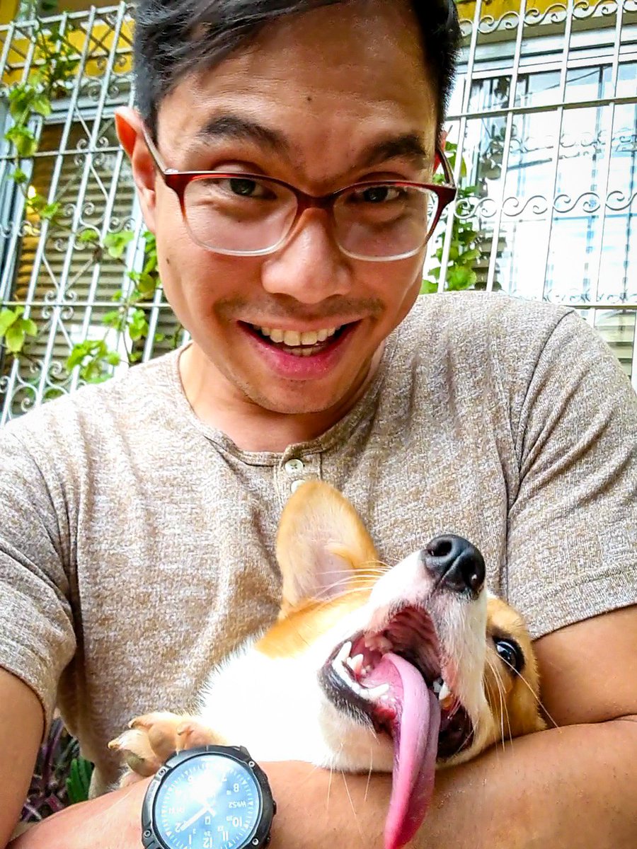 SouthPacCorgis's tweet photo. Happy New Year, hoomans! Especially to our #CorgiDaddy @AlbertDomingo. ♥️

#PeachesAndCream 🍑🍦
#SouthPacificCorgis 🐶 https://t.co/CShfRRm4aB