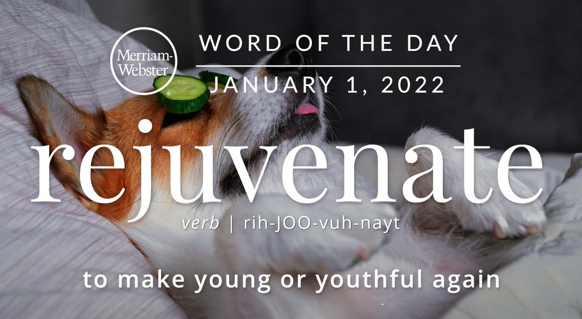 Happy New Year! Today's #WordOfTheDay is 'rejuvenate' merriam-webster.com/word-of-the-da…