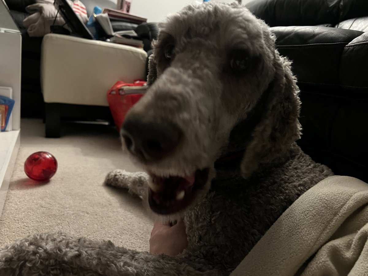 Ryan_the_Spoo's tweet image. I just want this ball thing to drop, or is it an apple? A tree? This guy with my name? Fireworks? #bringonthenewyear