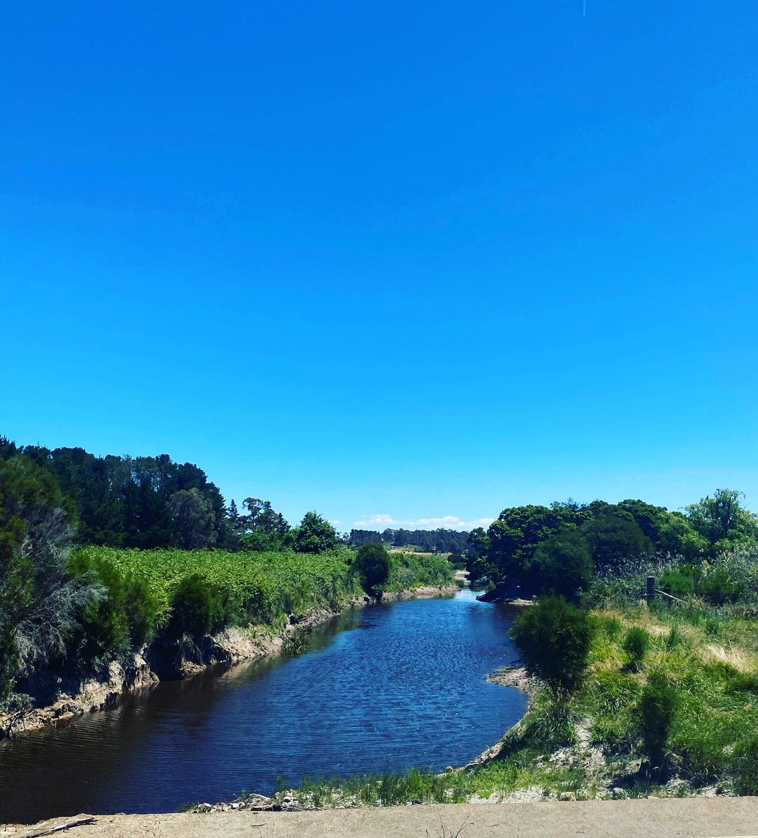 NicholeOverall's tweet image. Nerriga’s not a big place but as is often the case in rural areas, the local is more than just a pub - it’s the social hub of its community. 
Sarah &amp;amp; Phil are the hard-working owners. If you haven’t been, do recommend, or it’s always great for a re-visit.

Here’s cheers to 2022!