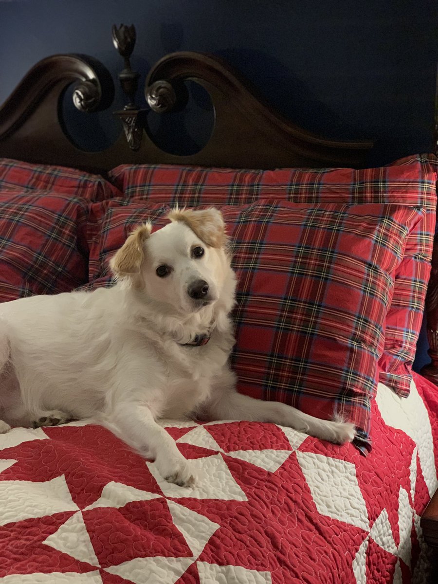 Cherie L Burrow tweet media