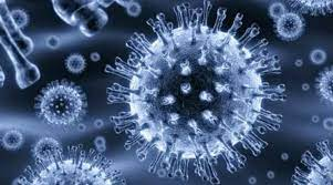 ThyroidTherapy's tweet photo. #Scientists Have Cultivated a “Miracle #Microbe” That Converts #Oil Into #methane 
for more details:https://t.co/wX245scVXO https://t.co/1jpsfz3hEu