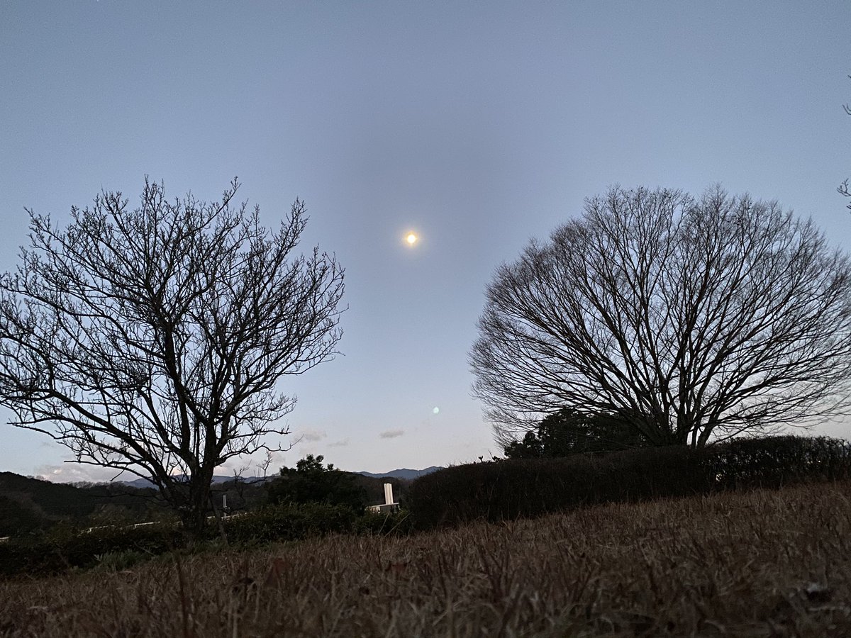 KE_key_0816's tweet photo. 新年明けましておめで��うございます‼️⛩🌅🎍
2022年も皆様にとって良い年になるように心からお祈りしております。😊
今年もよろしくお願いします！🙇‍♂️
 #HAPPYNEWYEAR  #2022年 
 #寅年  #あけましておめでとうございます  #男子高校生  #相互フォロー100 
 #いいねした人���員フォローする https://t.co/eSrDFeHFWt
