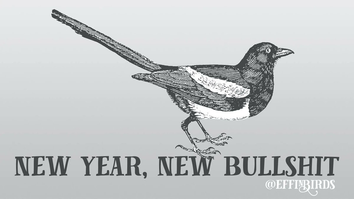 Effin' Birds (@effinbirds) on Twitter photo 
