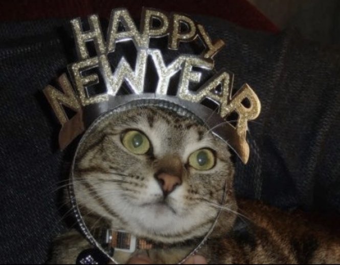 luvlunamoon's tweet photo. Happy New Year! ¡Feliz Año Nuevo! https://t.co/XyVE0K7mCo