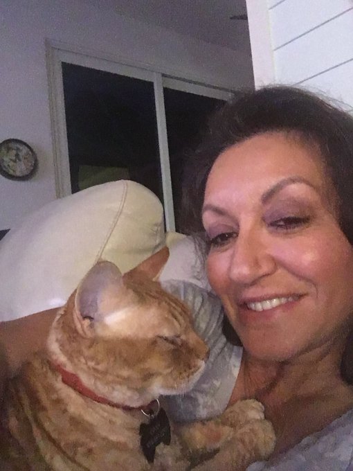 Mr.  Evil Just crawled into my lap to bring in the new year what a wonderful kitty https://t.co/4EX3