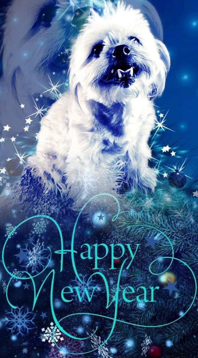 ❣️❤️Merlin& Archie 😇@AngelMocha12🇨🇦🌹Me tweet media