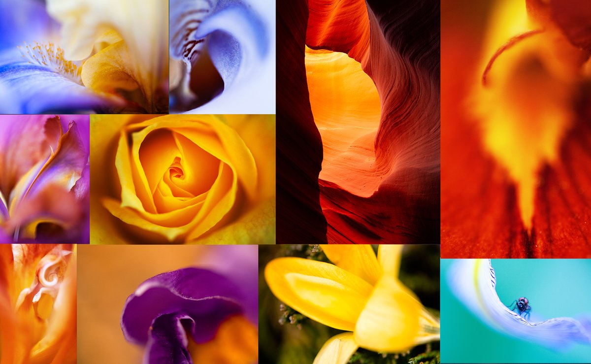 Starting off 2022 I completed my 1st photography NFT collection, Nature Abstracts, &amp; put it up for sale. 

Being a front-line healthcare worker, time's been quite limited, so I'm a bit late &amp; slower to this space. Looking 2 find the right collector ☮️❤️🙏
opensea.io/collection/nat…