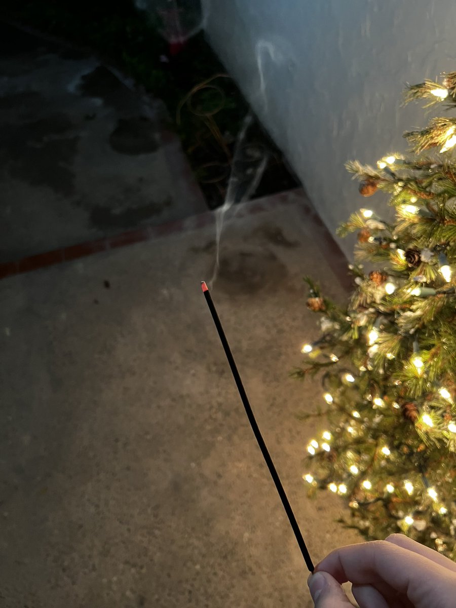 MissaSinfonia's tweet photo. Compré palitos de incienso pensando que eran luces de bengala, este es el peor año nuevo de mi vida. https://t.co/JDt1R3keYA