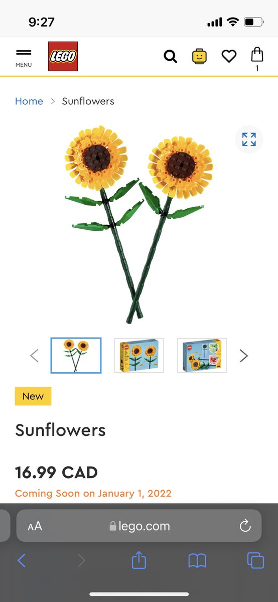 VanCityLil's tweet photo. My only goal for #NYE2021 was to buy the #LEGO #sunflowers on shop at home, but there seems to be some sort of glitch. It's not unlocking. @lego What's happening?
#afolproblems #legosunflowers https://t.co/lDeloNnjkA