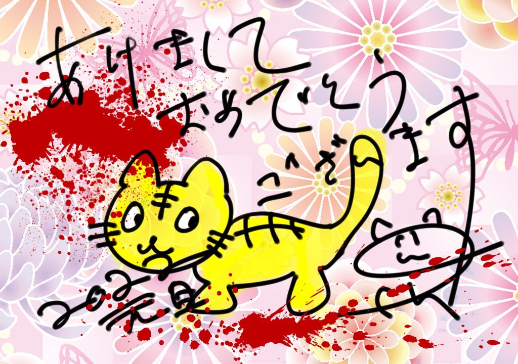 猫又きゅうちゃん😸❤️🐾01/25で4周年 (@niku_9chan) / Posts / X