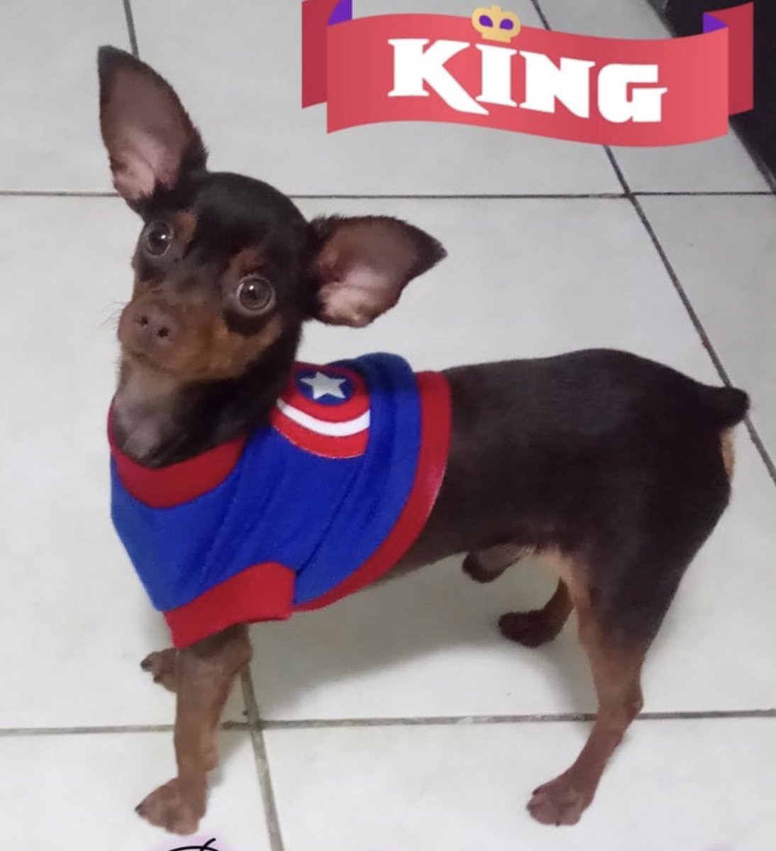 cristinalopezo_'s tweet photo. POR FAVOR DIFUNDIR🙏 DAMOS BUENA RECOMPENSA $$$$$ https://t.co/mc3en3sVVp