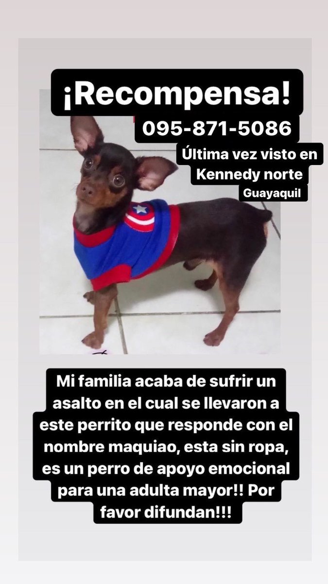 cristinalopezo_'s tweet photo. POR FAVOR DIFUNDIR🙏 DAMOS BUENA RECOMPENSA $$$$$ https://t.co/mc3en3sVVp