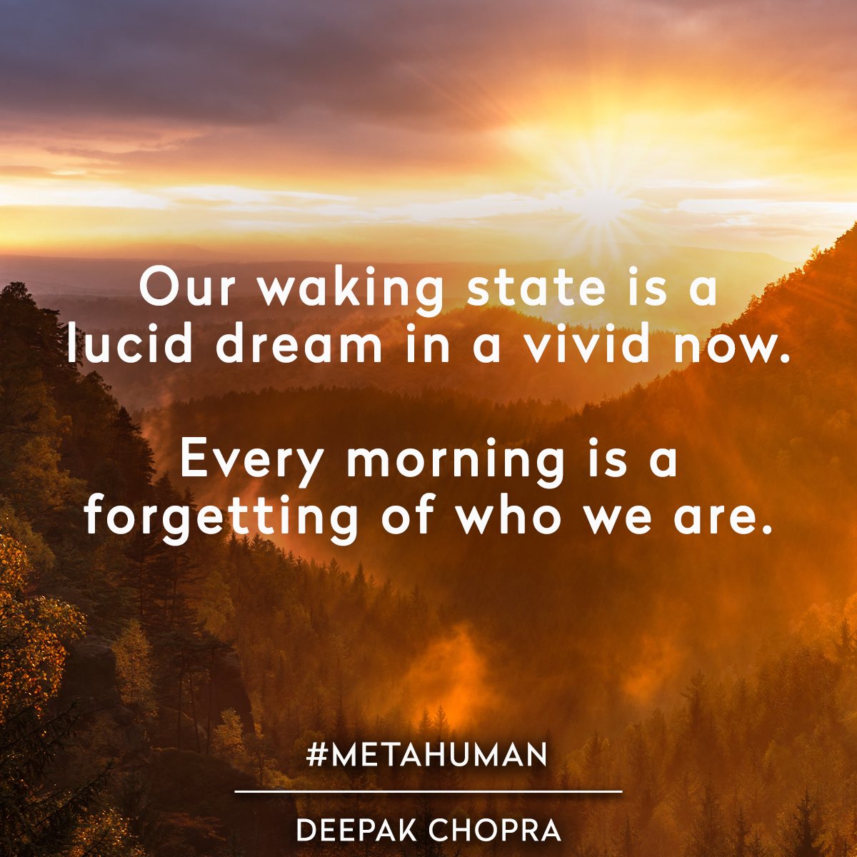 Our waking state is a lucid dream in a vivid now. 