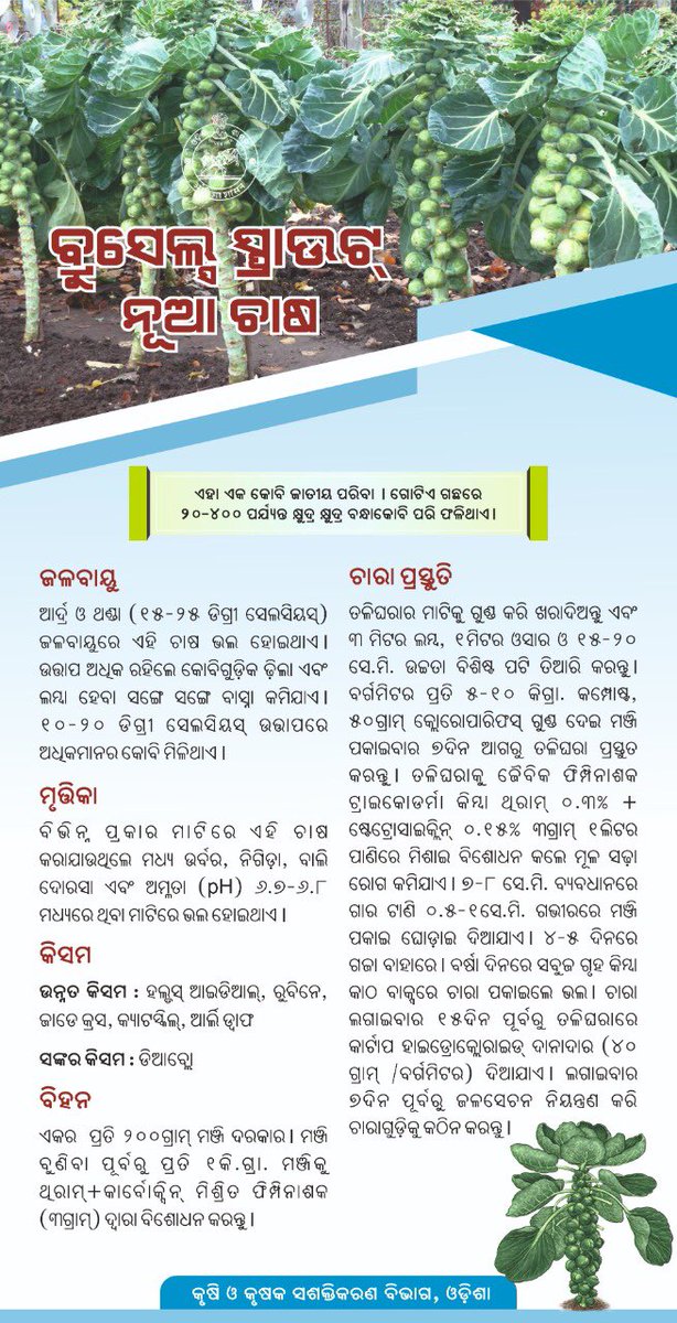କୃଷି ବିଭାଗ, ଓଡ଼ିଶା tweet media