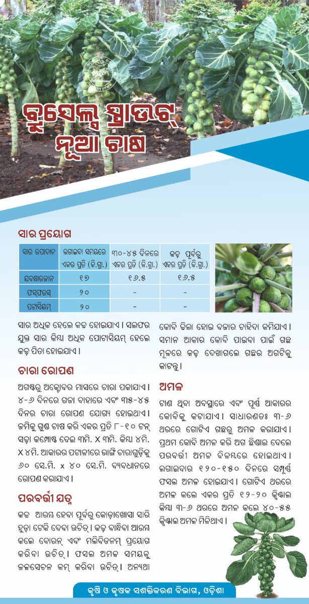 କୃଷି ବିଭାଗ, ଓଡ଼ିଶା tweet media