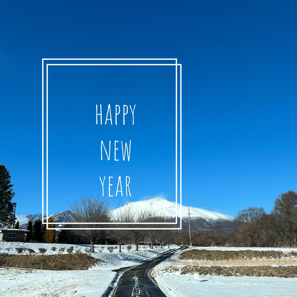 estella_mt's tweet photo. 新年あけましておめでとうございます。
本年もどうぞよろしくお願いします。 https://t.co/JWOCkcjFDw