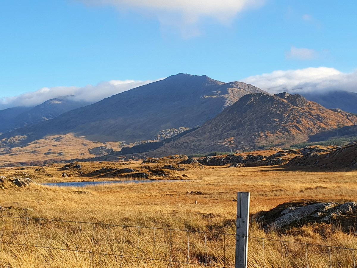 IrishRainforest's tweet photo. Ireland sure is beautiful.

But just imagine a landscape once again part covered in native forest, and a tapestry of other wild nature-rich habitats, instead of the barren monocultures so dominant everywhere now.

Wouldn't it all be SO much more beautiful, in every way? https://t.co/6FR0j1JRGD
