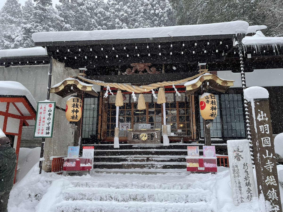 AmyWangwww's tweet photo. 2022年、よろしくお願いします☃️ https://t.co/Q1VeuQy6ND