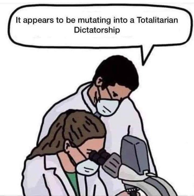 <a href="/drefanzor/">drefanzor memes</a>