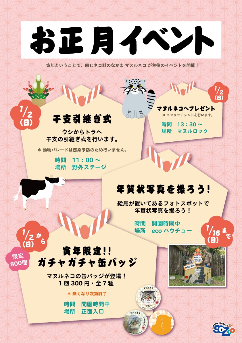 saitamazoo_tw's tweet photo. こども動物自然公園は1月2日から開園！

干支の引き継ぎ式や今年主役のマヌルネコへのプレゼントの実施に、
福袋やマヌルネコの缶バッジガチャガチャの販売も行います。

皆さんに会えることを楽しみにしています！
https://t.co/EvkXL9CbIA https://t.co/jZVMy74hTb