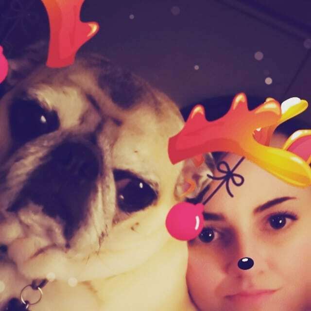LadyStardustAG's tweet photo. Happy New Year from the little boo and myself‼🥰🐶 I even got to use that reindeer filter thing that you can do with your pets.💀 @aspicymeatpug #selfie #snapchat #snapchatfilter #stayingin #newyears #newyearseve #pug #pugs #puggo #puggos #cuddles #cudd… https://t.co/IGOysuCBHg https://t.co/VGsd3hcXfd