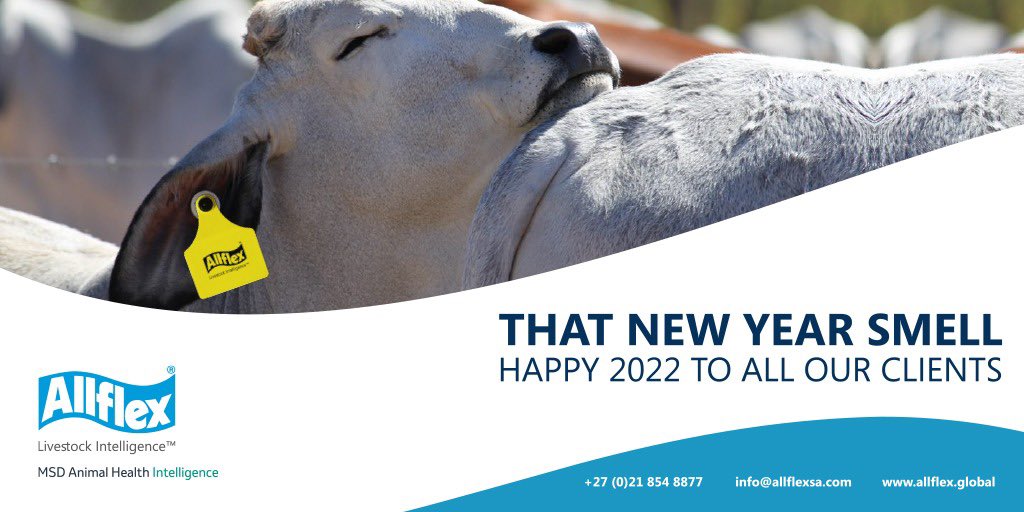 Allflex Livestock Intelligence Sub-Saharan Africa tweet media