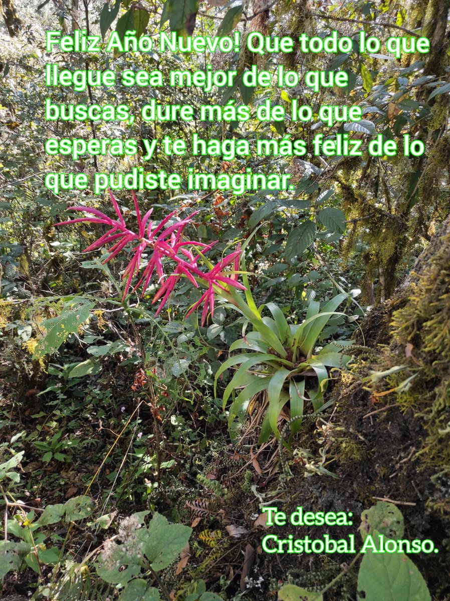 TOBALsec36's tweet photo. Bendiciones.. https://t.co/hHv3nc94ba